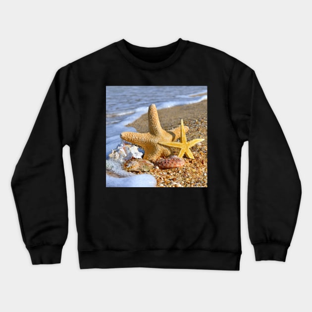 Starfish and Sea Shell Crewneck Sweatshirt by StylishPrinting